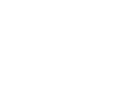 vinpale-logo-small-white